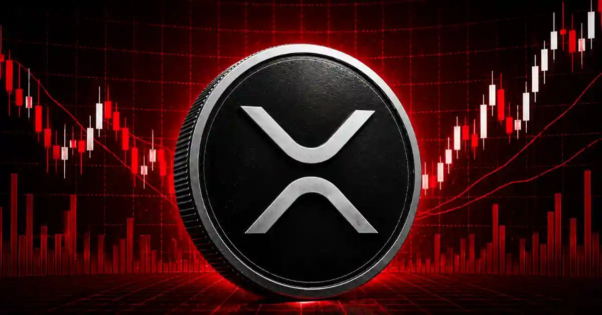 Important Levels After 5% Crash